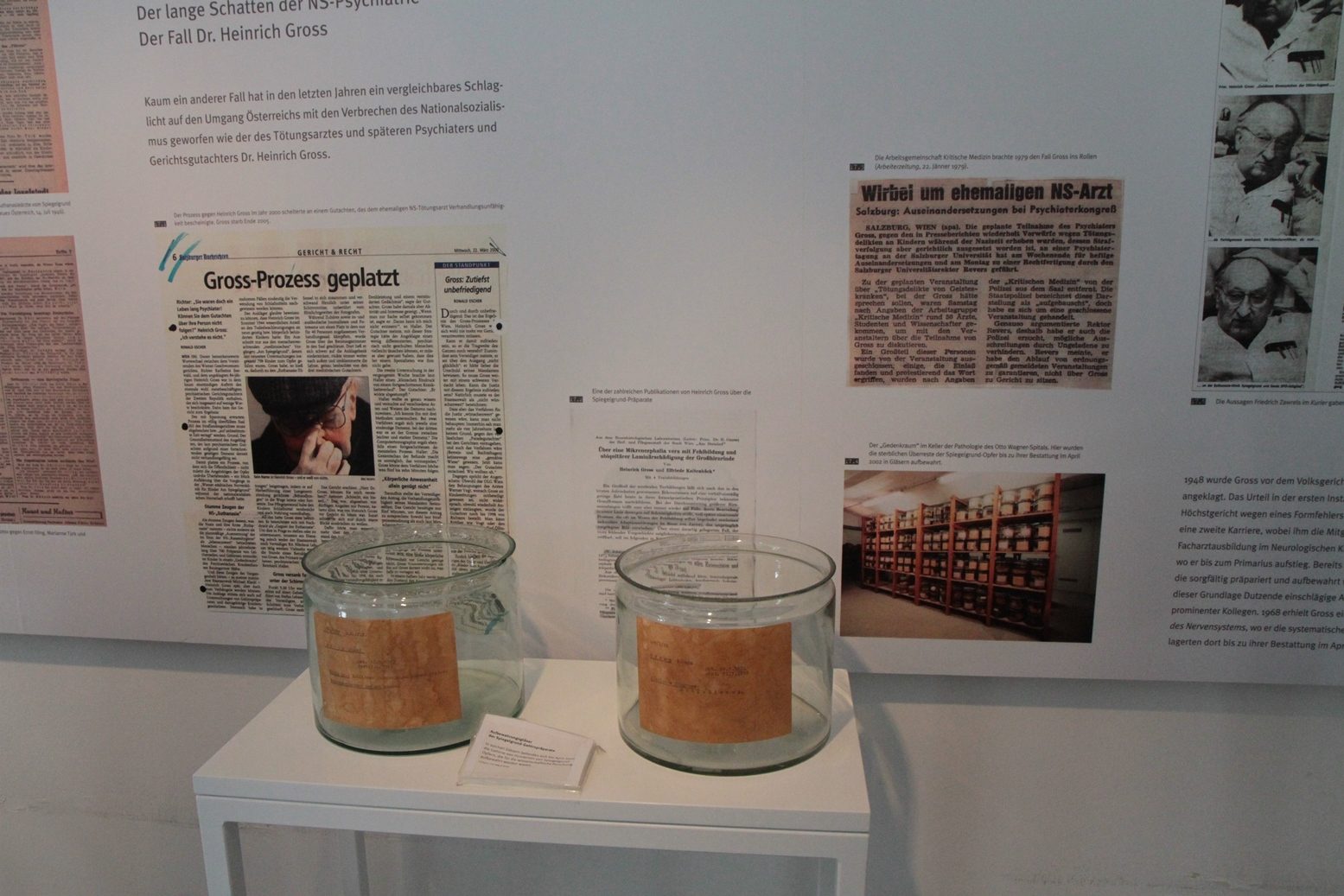 Pavilion 5 with historic exhibition, Steinhof Spital, Vienna - 12.JPG
